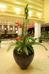 Patong Paragon Hotel 